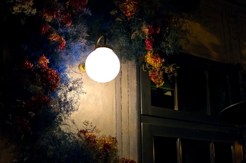 Outdoor Lamp Installation in Honolulu, HI