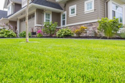 Improve the Appearance of Your Home or Business!